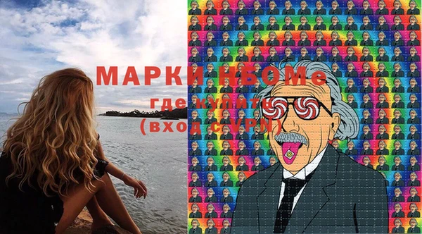 mix Богородицк
