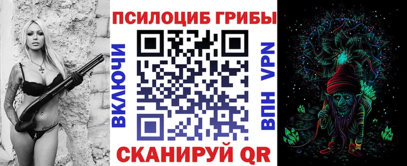 blacksprut зеркало  Богданович  Галлюциногенные грибы Cubensis  наркошоп 